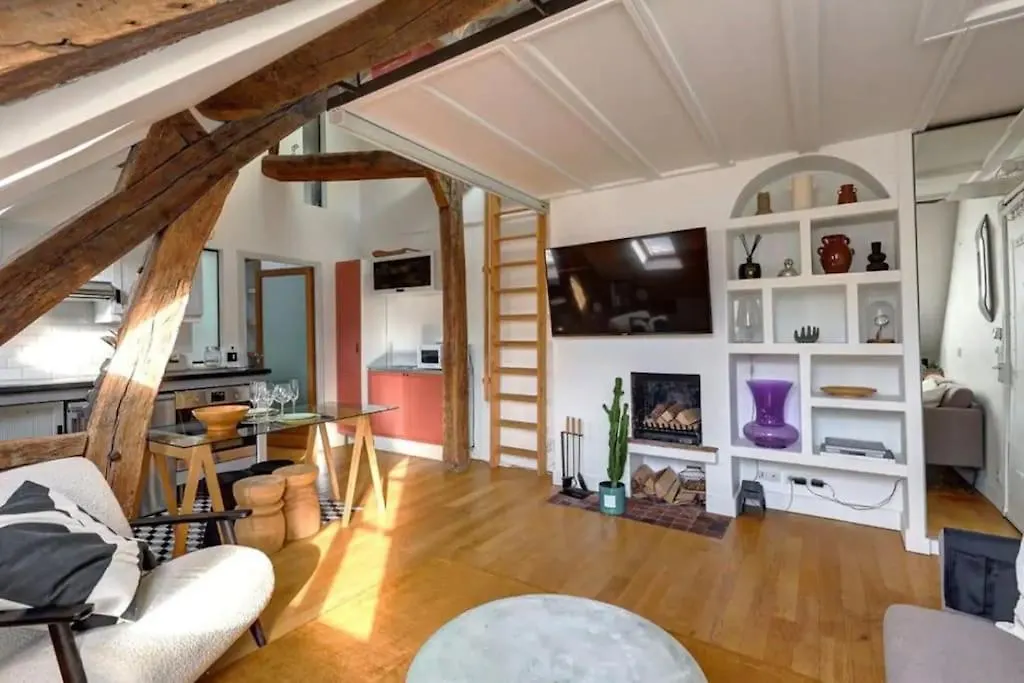 Apartment Loft Place Des Vosges Paris