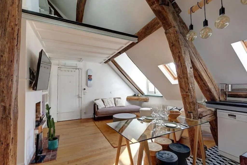 Loft Place Des Vosges Paris