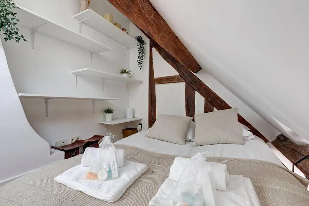 Loft Place Des Vosges Paris Apartment